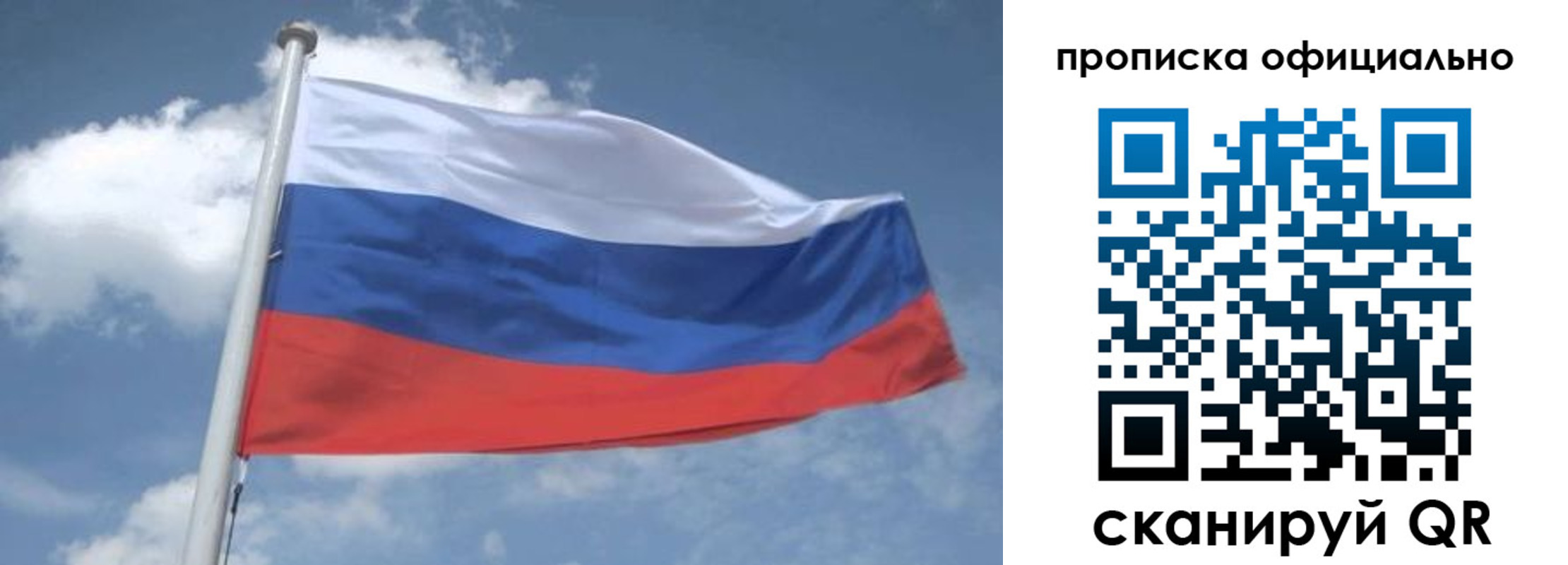 прописка для школы в Высоковске